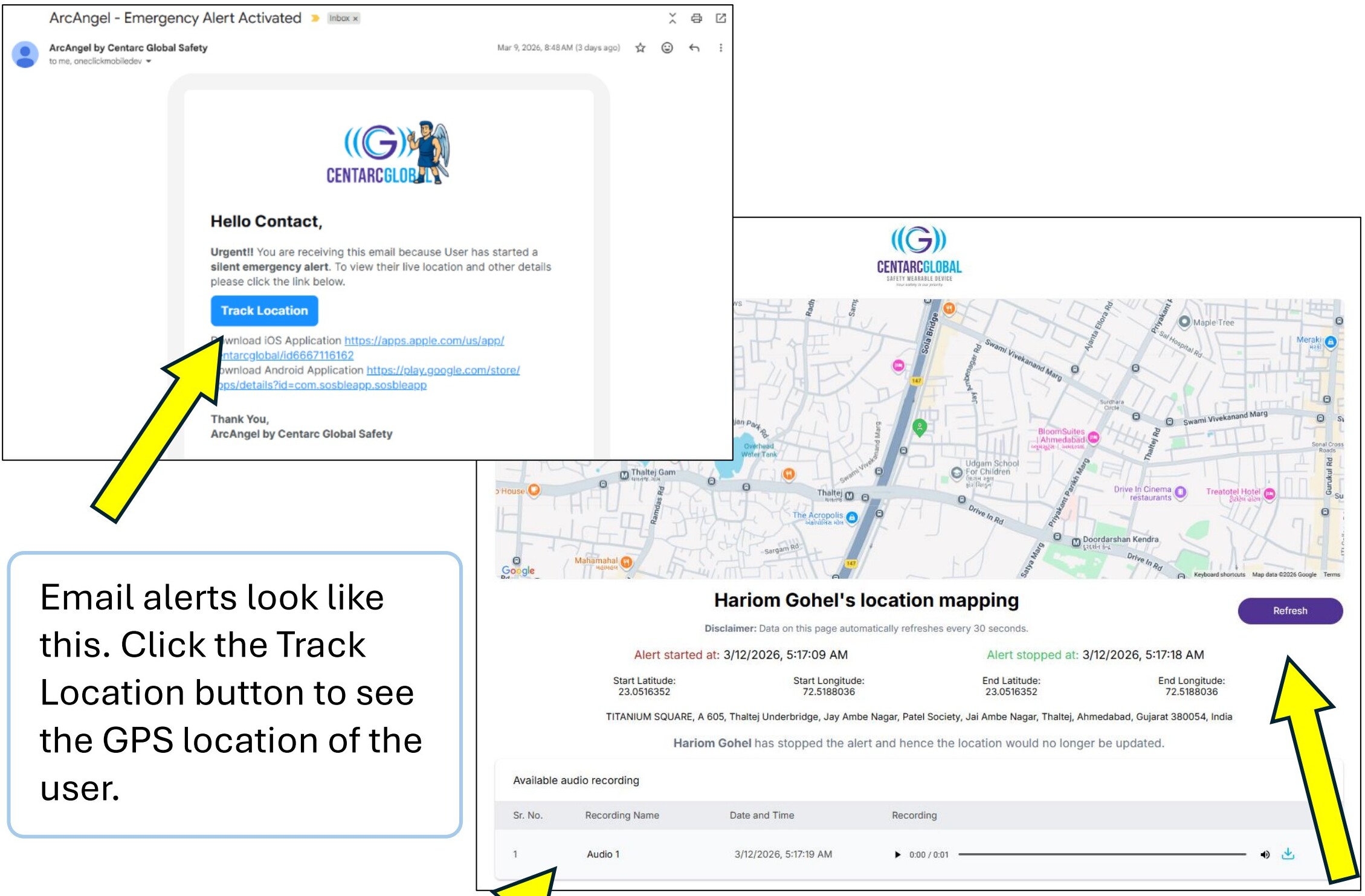 Email alert template